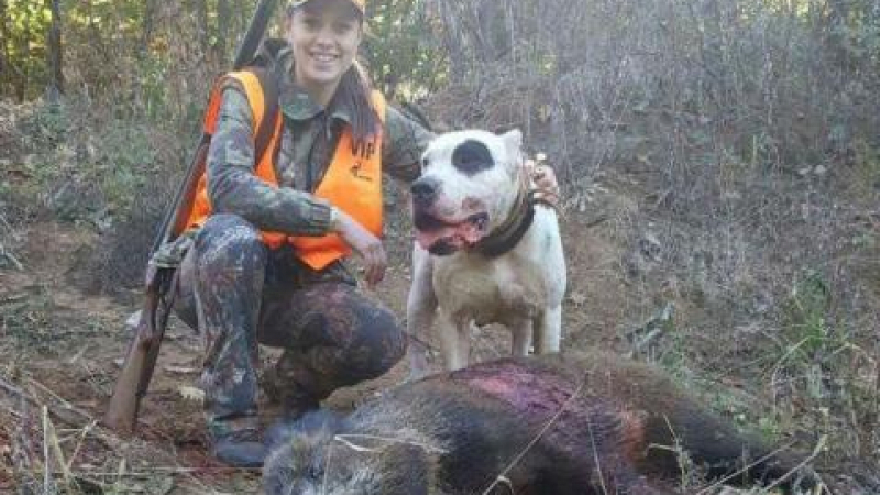 Неравна схватка: 22-годишна монтанчанка повали звяр, двойно по-тежък от нея (СНИМКА)