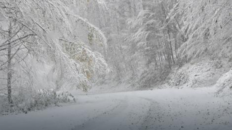 Бяла хала фучи към България, Хърватия и Сърбия в снежен колапс (СНИМКИ/ВИДЕО)
