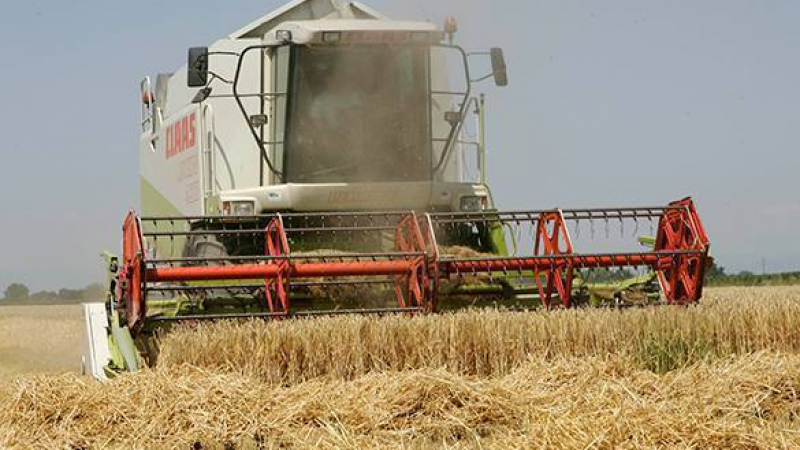 WSJ: Рекордната реколта от зърно в Русия станала катастрофа за фермерите в САЩ   