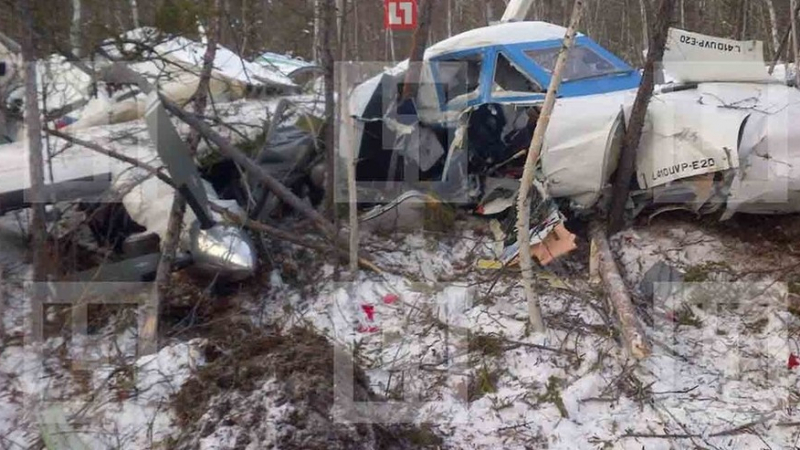 Самолетна катастрофа край Хабаровск с жертви и оцеляло по чудо момиче (СНИМКИ)