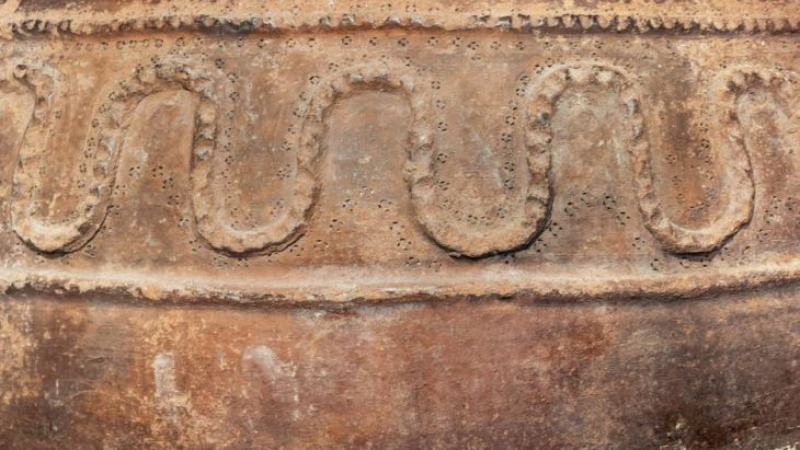 8000-годишни съдове разкриват следи от най-старото вино в света