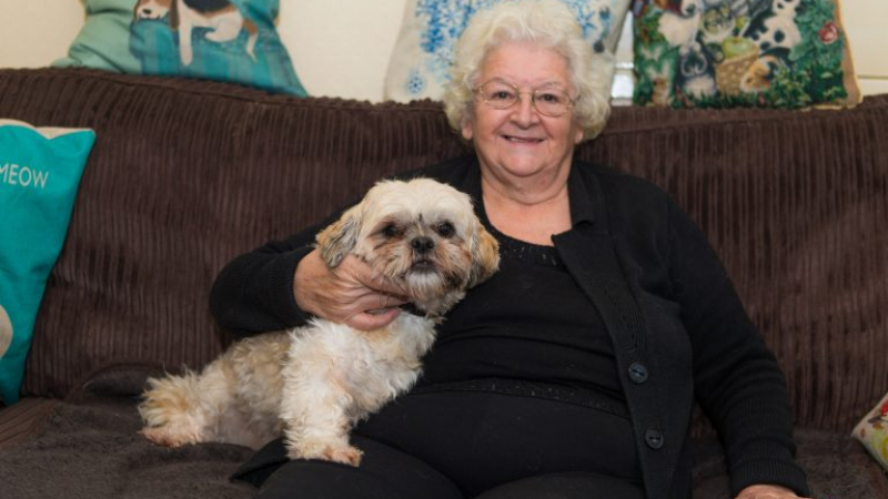 Английска пенсионерка урежда емиграцията на български кучета за Острова