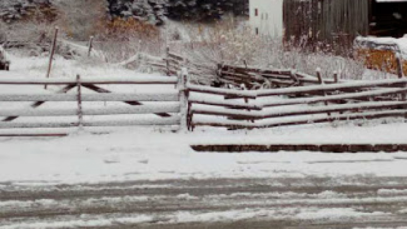 Побеля и в Родопите! Най-много сняг в родното село на Мустафа Карадайъ (СНИМКИ)