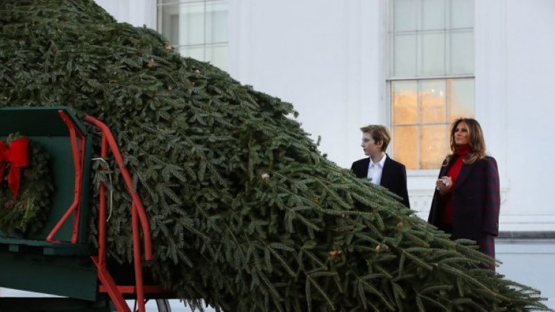 Мелания Тръмп посрещна коледното дърво в Белия дом (ВИДЕО/СНИМКИ)