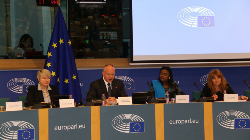 Станишев: От донор ЕС трябва да се превърне в инвеститор в мир и икономически възможности за Африка