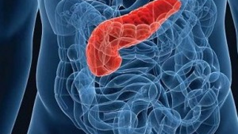 Тревожни предвестници: 8 ранни симптома за рак на панкреаса