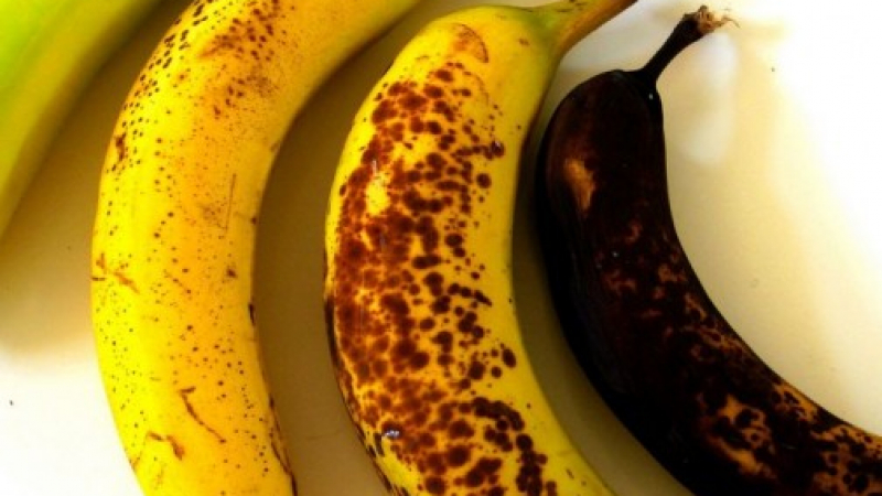 Кои от тези банани ядете? Вашето здраве зависи от отговора!