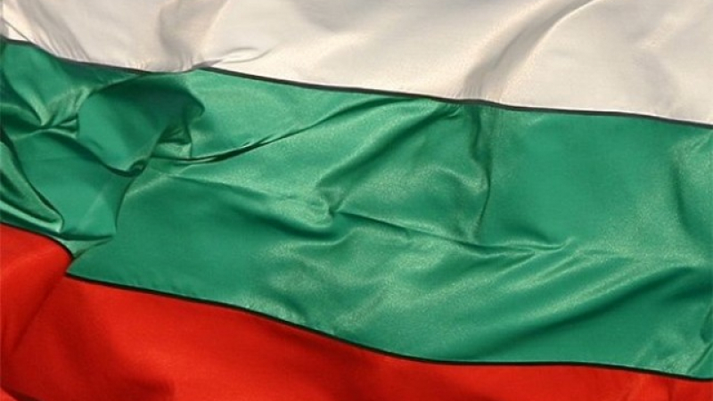 Това ли е първообразът на българския трикольор, който може да пренапише историята ни?! (СНИМКА)