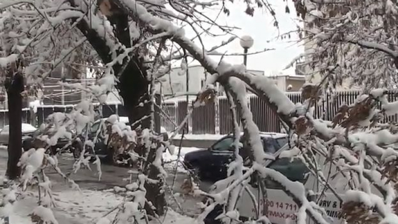 БЛИЦ TV: Падна сняг и създаде големи поразии в София