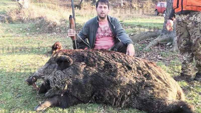 Опитният авджия Орхан уби 330-килограмов звяр