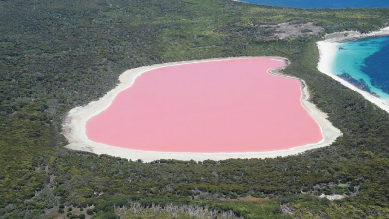 Тайната на уникалното розово езеро Хилиър (СНИМКА)