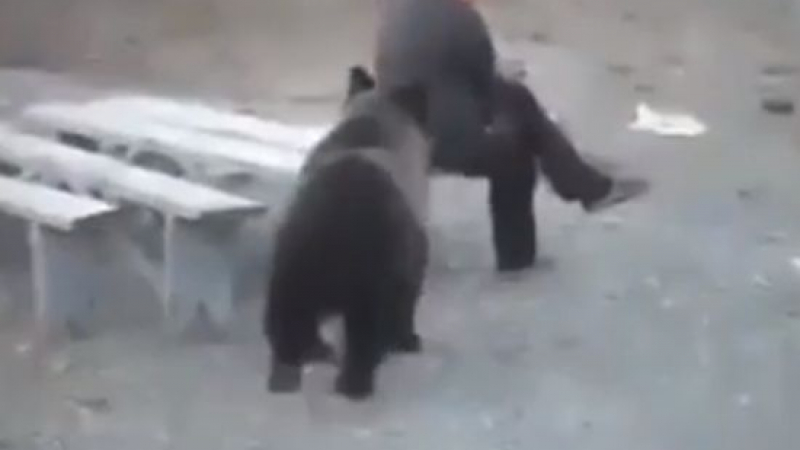 Смразяващо ВИДЕО: Руснак изгони мечка само с един поглед