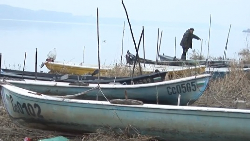 Тъжен Никулден в Русе: Страшна напаст нападна рибата в Дунав, унищожава я поголовно (ВИДЕО)