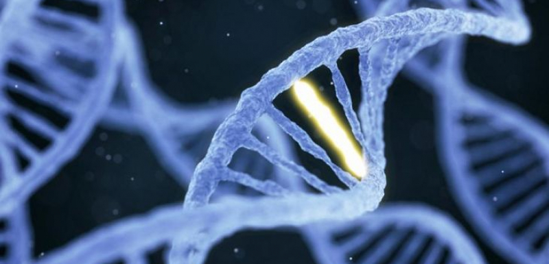Разгадаха огромна мистерия, свързана с човешкото ДНК