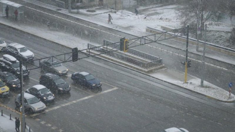 Чистене безспир! 142 снегорина обикаляха през нощта в София, обработва се против заледяване