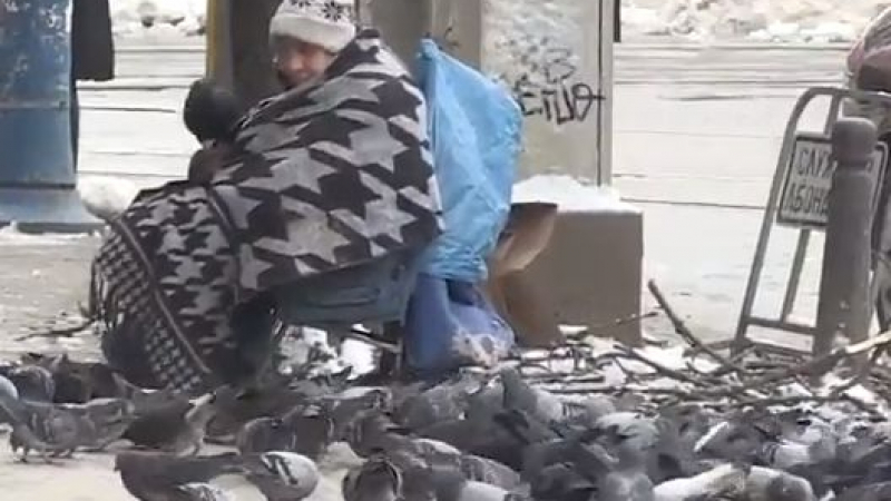 БЛИЦ TV: Повелителката на гълъбите щъка из София