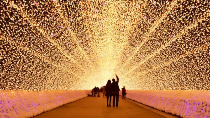 Ще останете с отворена уста! Това са впечатляващите японски тунели на светлината (СНИМКИ)