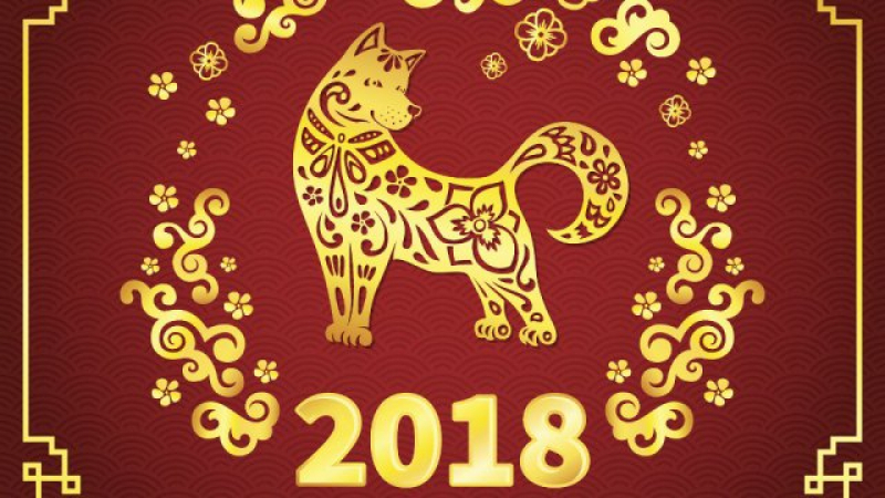 Какво ни чака през 2018-а: Годината на Жълтото земно куче