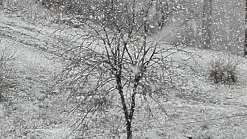 Зимата се върна! Едри бели парцали заваляха над София (СНИМКИ/ВИДЕО)