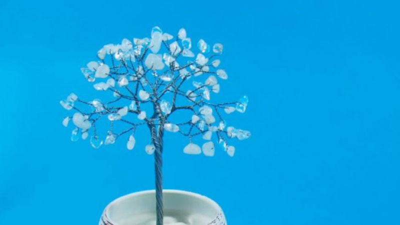 Уникално за Коледа! Направете си това магическо кристално дърво, което постепенно се покрива със сняг! 