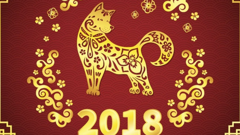 Жълтото земно куче ще пази през 2018