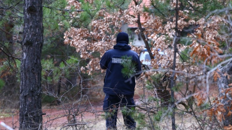 Русе в паника заради изгубени младежи, търсят ги под дърво и камък