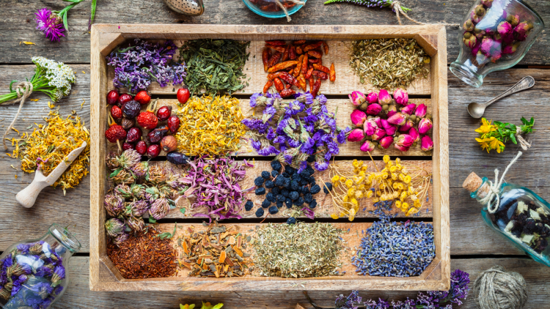 Известен хомеопат разкри какви големи ползи за здравето ни носят австралийските цветни есенции