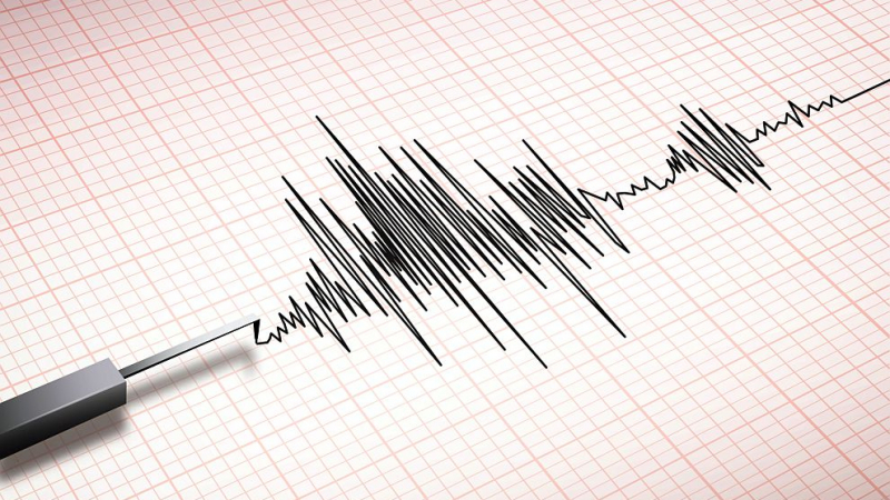Силно земетресение разтресе земята в Иран