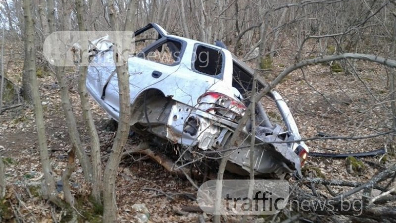 Мистерия с автомобил, кацнал на дърво в гора край Пловдив (СНИМКИ)