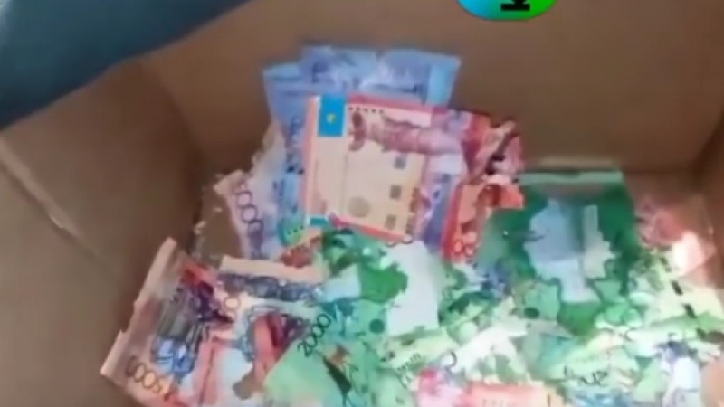 Мишки изядоха банкнотите в банкомат (ВИДЕО)