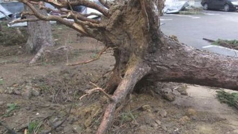 Ураганен вятър вилнее в Карловско, Клисура и няколко села са без ток
