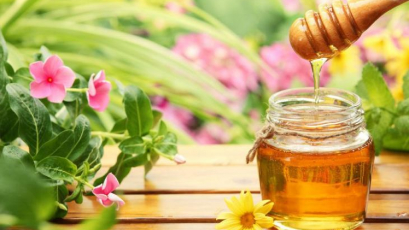 Ето как да проверите дали медът е истински