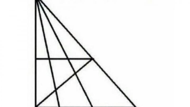 Гений ли сте? Колко триъгълника виждате на тази СНИМКА?