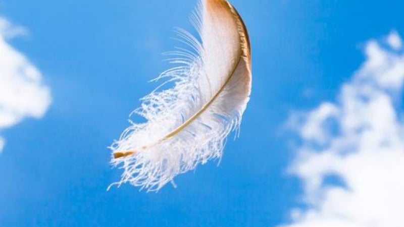 Мъртвите могат да общуват с живите с помощта на бели пера 