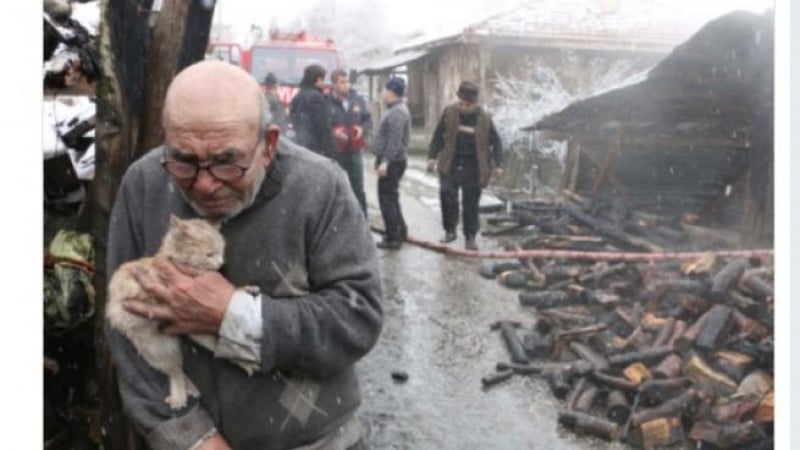 СНИМКА на стария Али, прегърнал малко коте, разплака всеки, който я видя 