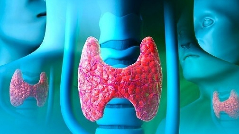8 неща, които ви говорят за неработеща щитовидна жлеза