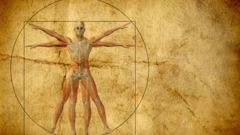 Знаете ли, че вашето тяло владее тези 12 необикновени трика?