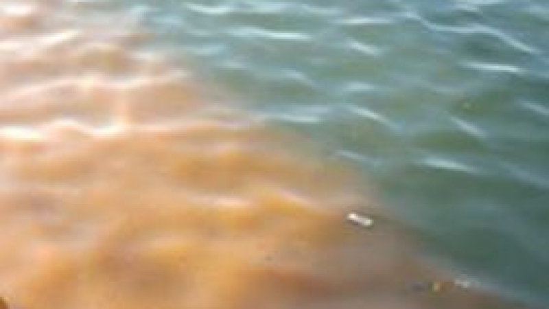 Шок в Бургас! Оранжева течност изплува във водата на Морска гара (СНИМКИ)