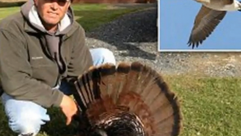 Ловец застреля гъска в небето, но тя му отмъсти лошо (ВИДЕО)
