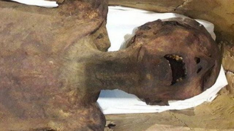 Зловещото лице на агонията: Разкриха историята на мумията на принца-предател (СНИМКИ 18+) 