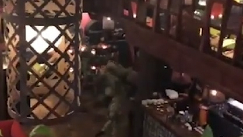 Зрелищен арест! Задържаха Саакашвили в украински ресторант (ВИДЕО)