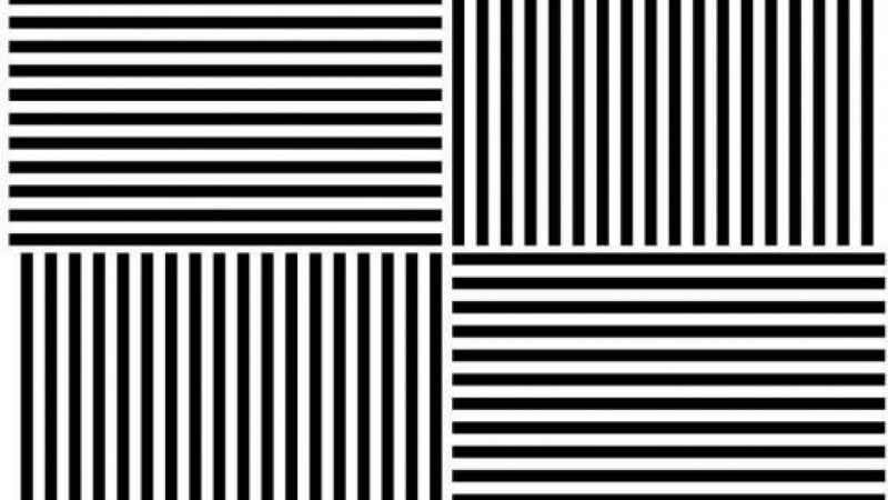 Тази оптична илюзия е толкова силна, че ще действа върху вас следващия един месец (СНИМКИ)