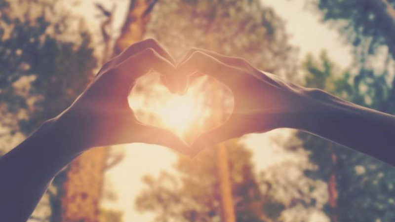 15 научни факта за любовта