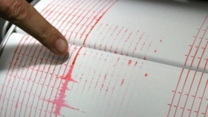 Силното земетресение разлюляло Мексико е причинило паника, не се съобщава за жертви
