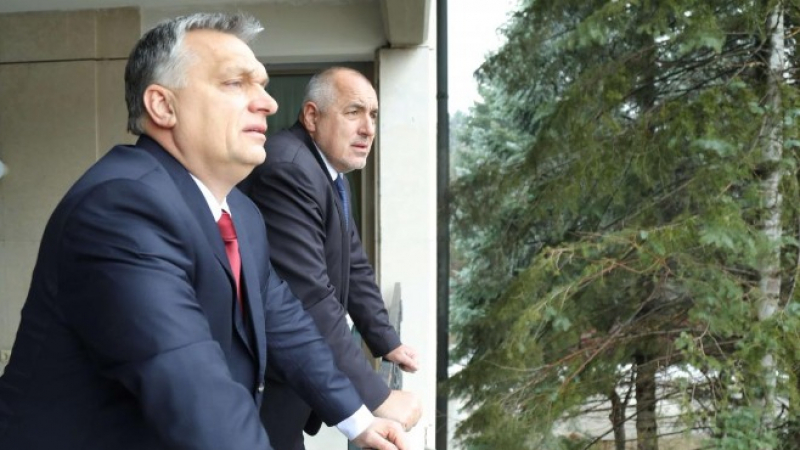 Бойко Борисов посрещна топло с прегръдка Виктор Орбан в резиденция "Бояна" (СНИМКИ)