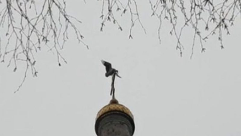 Иде пролетта! Щъркел "запечатан" на купола на "Рождество Христово" в Шипка (СНИМКА)