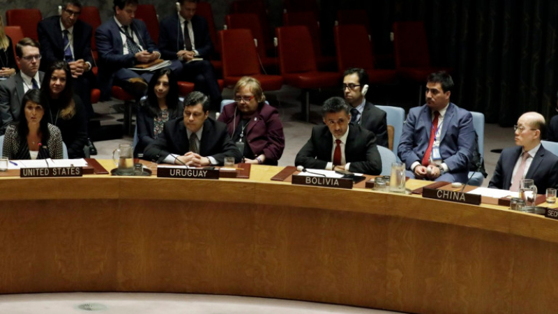 Съветът за сигурност одобри 30-дневно спиране на огъня в Сирия