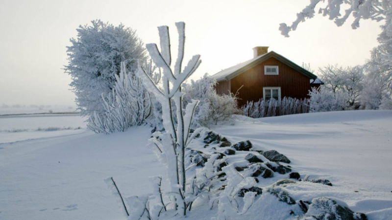 Как се справят скандинавците с мрачното зимно настроение? (СНИМКИ)