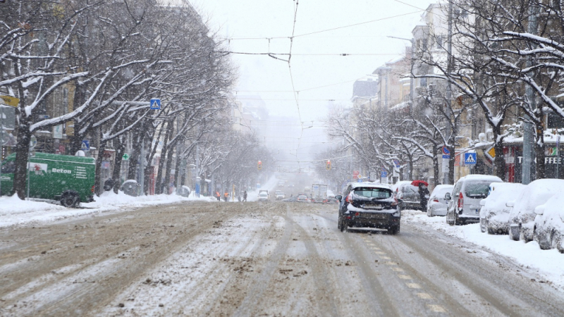 Синоптик от НИМХ разкри кога тази седмица ще падне първият сняг