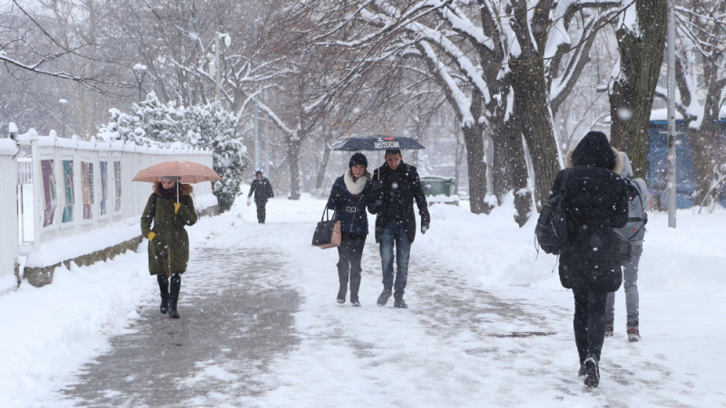 Код зима: Студен въздух нахлува в България, започват валежи от сняг в...